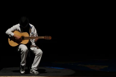 گزارش تصویری نمایش « شرتل»