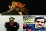 بازبین جشنواره