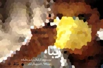 زیبا