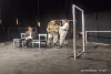کجا این سر انجام...