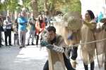 مترس‌ها